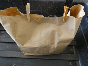 Bluebonnet -- Clothes pin is used to loosely close top of bag to prevent seed lose.