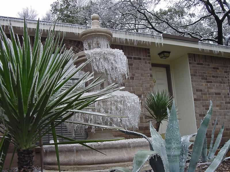 Ice fountain and tropical plants